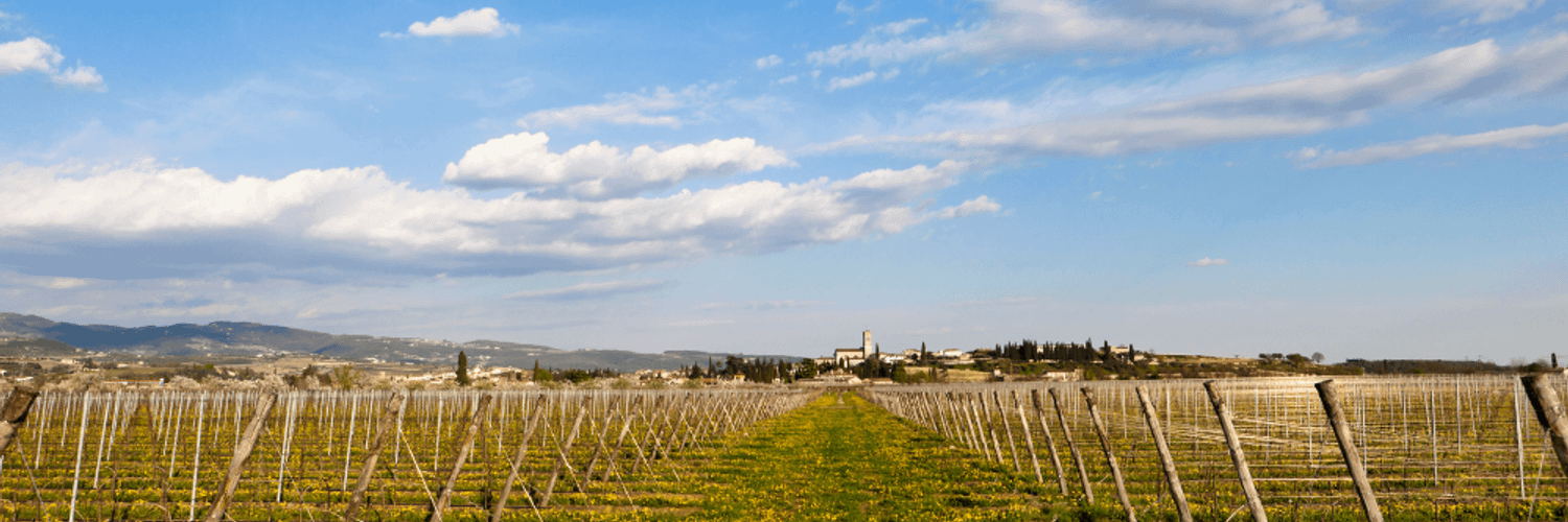 Valpolicella