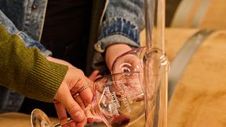 El paréntesis único