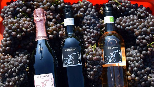 Weinprobe und Tour bei La Jara
