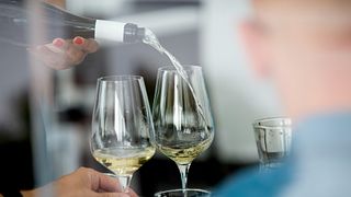 I Vini del Cavaliere: A Legacy of Winemaking