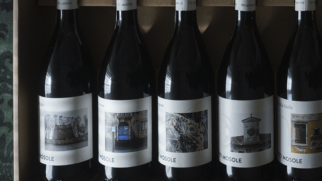 Tenuta Mosole
