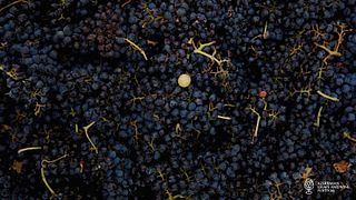 Goygol Winery (Xan)