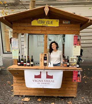 Cata de vinos y visita guiada en Vigna Villae en Taurasi