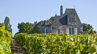 Vignobles Feray - Château Moncontour