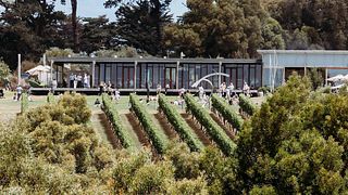 Montalto Winery