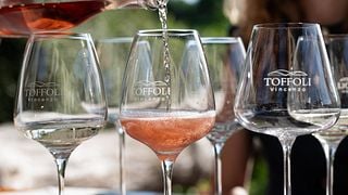 Entre vinhedos, vinícolas e tradição: degustação de vinhos no coração do Prosecco.