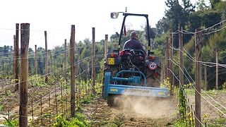 Weinprobe und Tour im Podere Anima Mundi