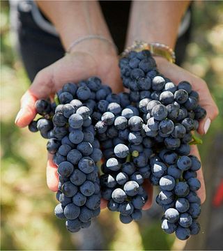 Cantina Di Carpi E Sorbara