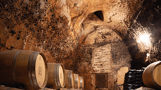 Visite incontournable avec apéritif à la Bodega Muelas
