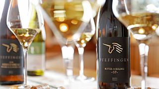 Degustazione di vini e visita alla Weingut Pfeffingen