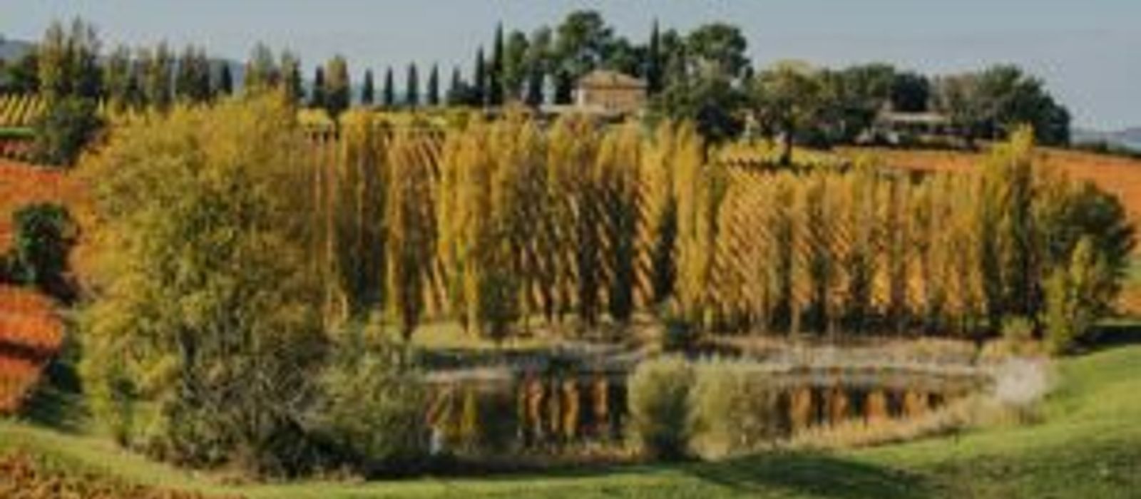 MontefalcoLandEsperienzaEsclusivaAutunnoCantinaArnaldoCaprai-02-300x300