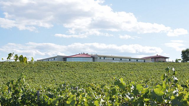 Da Vinha à Mesa: Descobrindo os Vinhos da Trácia e os Sabores do Campo