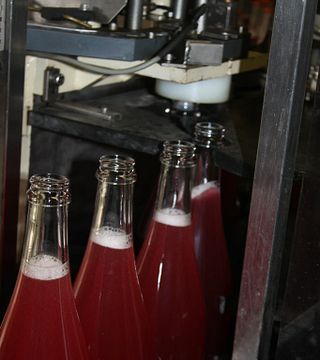 Champagnerverkostung und Führung bei Champagne André Tixier & Fils