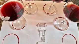 Tuscan Classico Wine & Vineyard Tour at Quercia Al Poggio