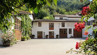 F.lli Pisoni SRL