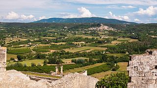 Höhepunkte der Provence: Chateauneuf du Pape & Luberon aus Avignon
