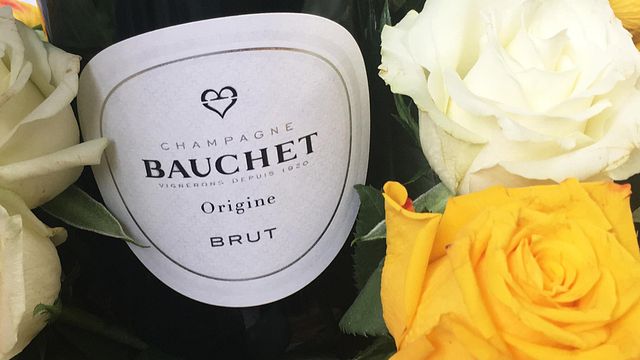 Champagne Bauchet