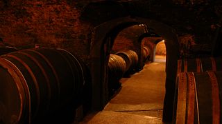 Degustação guiada de vinhos no Weingut Mönchhof
