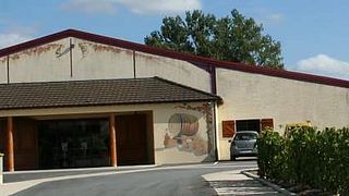 Degustazione di vini e tour allo Champagne Yveline Prat