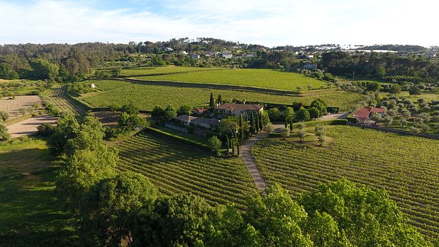 Soito Wines