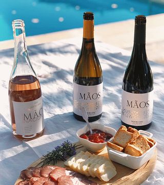 Degustazione di vini alla Quinta de S.Tiago
