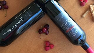Degustação de vinhos e tour no Legado De Orniz