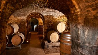 Domaine Rouge: Barrel Tasting Experience – From the Barrel to Grand Cru