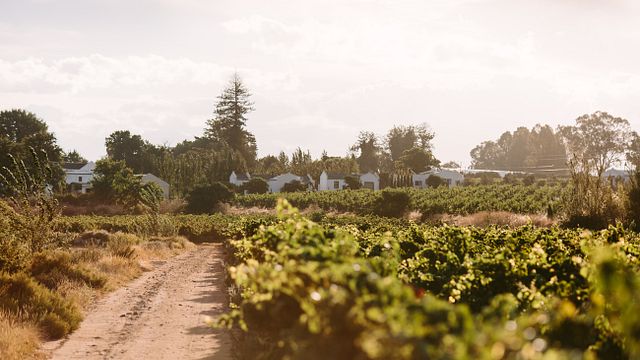 Leipzig Winery