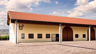 Tenute Falezza Winery