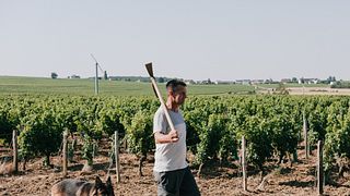 Domaine Chauveau