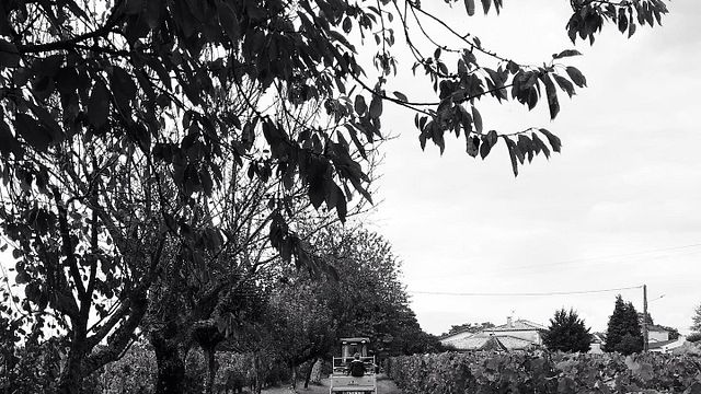 Vinprovning och rundtur på Clos Monicord