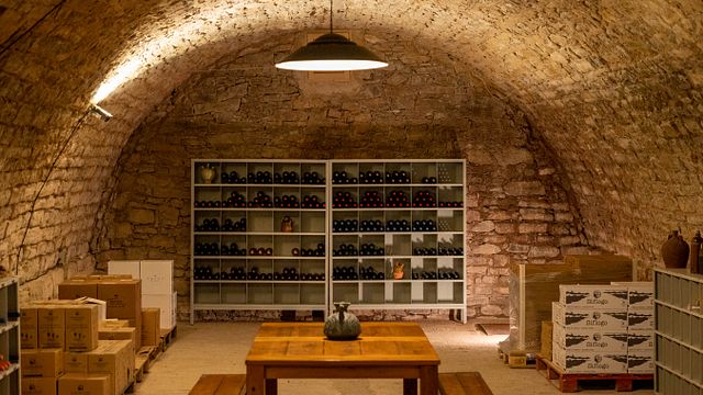 Dégustation de vins artisanaux grecs chez Satyrs « The Cellar »