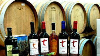 Tuscan Wine & Olive Oil Tasting at Tiberio Winery