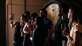 Wine Tasting at Vecchie Terre Di Montefili