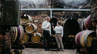 Degustação de vinhos incluindo um tour pela adega em Weingut Galler