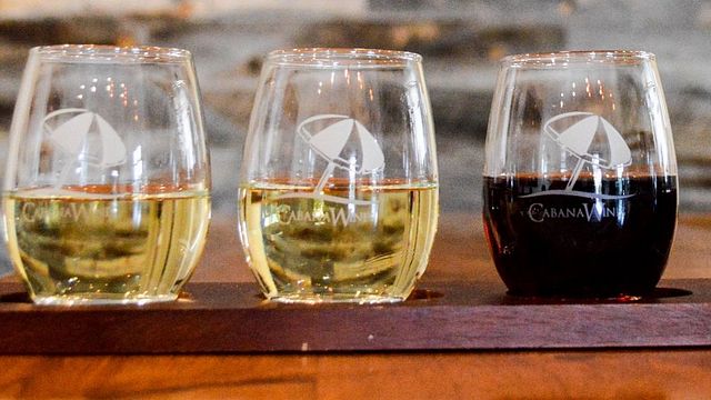 Degustazione di vini e visita alla cantina Cabana