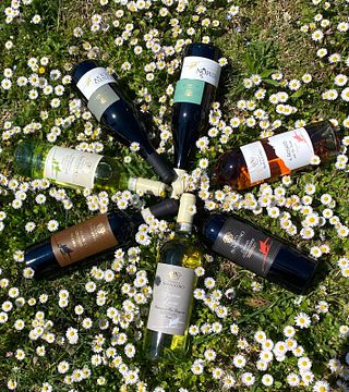OUR 4 DOCG WINES: CHIANTI AND VERNACCIA DI SAN GIMIGNANO