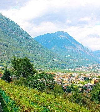 Azienda Agricola Edoardo Patrone