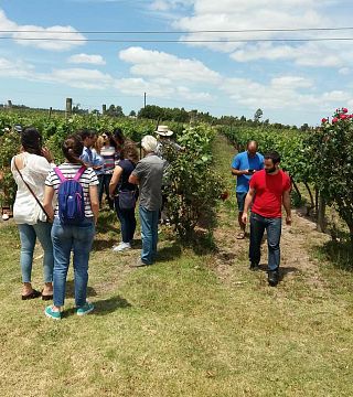 Bodega J. Chiappella