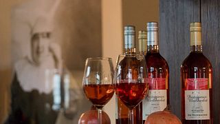 Cata de vinos y visita guiada en Die Weinmacher Niederkirchen