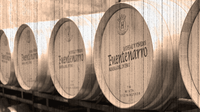 Degustazione di vini e tour alle Bodegas Fuentenarro