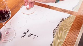 El Camino de la Uva en la Enoteca Monte Fasolo