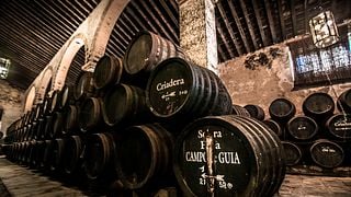 Bodega Gutiérrez Colosía