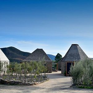 Dégustation de vins et visite du Clos De Tres Cantos