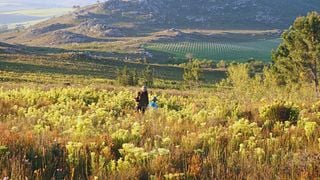 PaardenKloof Estate: A Hidden Gem in South Africa