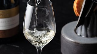 Degustação de vinhos no belo e personalizado salão de degustação