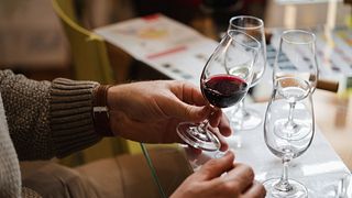 Degustação de Vinhos: Vinhos Tintos e Carnes Frias