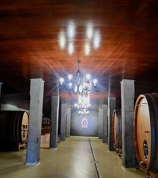 Ruta de lujo por el vino y la gastronomía de Albariño en Galicia