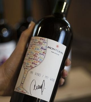 Dégustation et visite de vins au domaine MontGras
