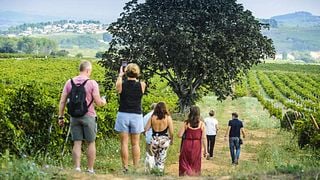 Goûter le passé, profiter du présent | Domaine viticole Mas Comtal